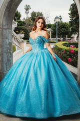 Elegant Quinceanera Dress 1002 Quinceañera Dress for Special Occasions