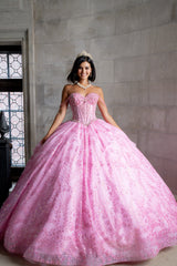 Elegant Quinceanera Dress 976 Quinceañera Dress for Special Occasions