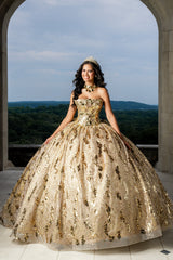 Elegant Quinceanera Dress 895 Quinceañera Dress for Special Occasions