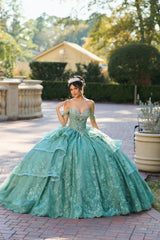 Elegant Quinceanera Dress 110 Quinceañera Dress for Special Occasions