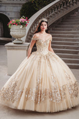 Elegant Quinceanera Dress 1021 Quinceañera Dress for Special Occasions
