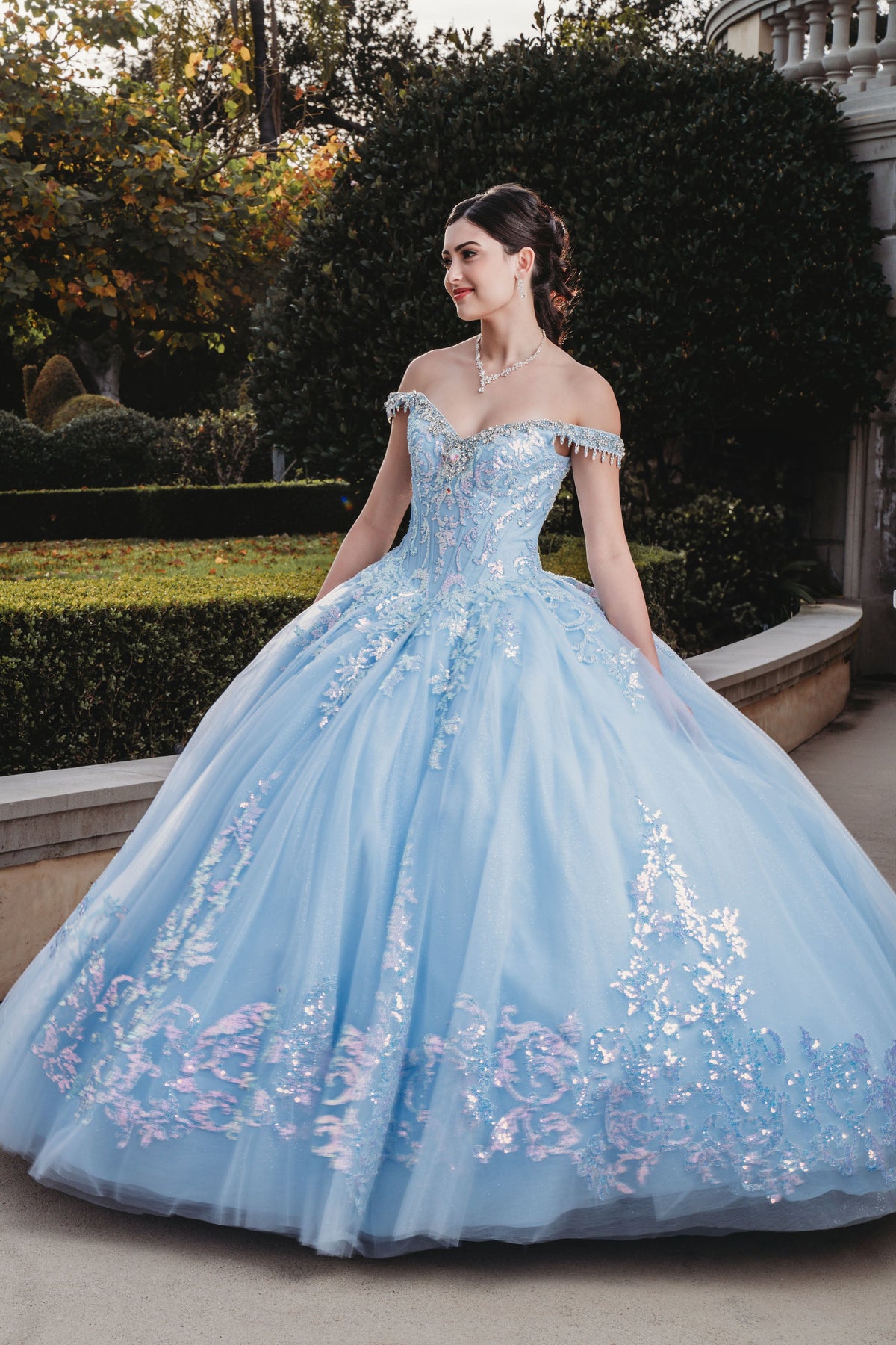 Elegant Quinceanera Dress 1020 Quinceañera Dress for Special Occasions