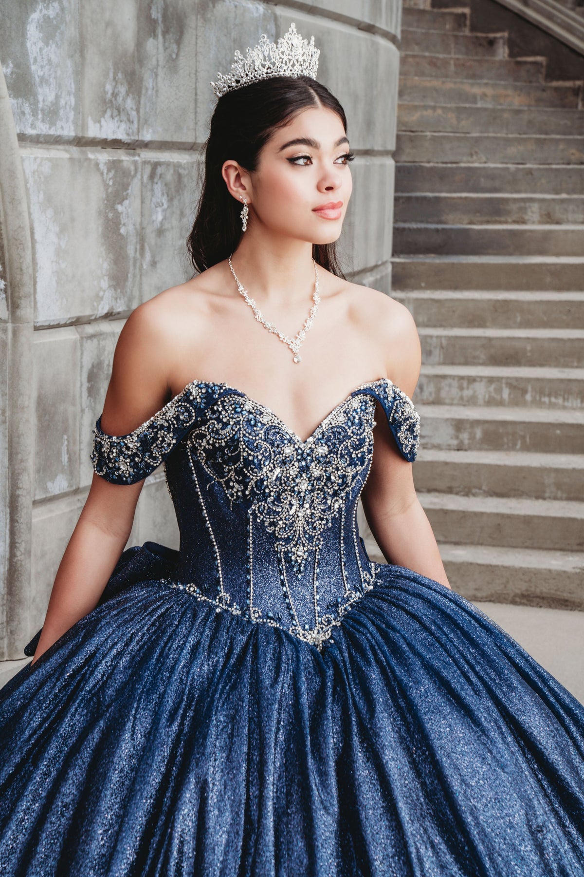 Elegant Quinceanera Dress 1003 Quinceañera Dress for Special Occasions