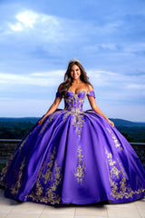 Elegant Quinceanera Dress 844 Quinceañera Dress for Special Occasions