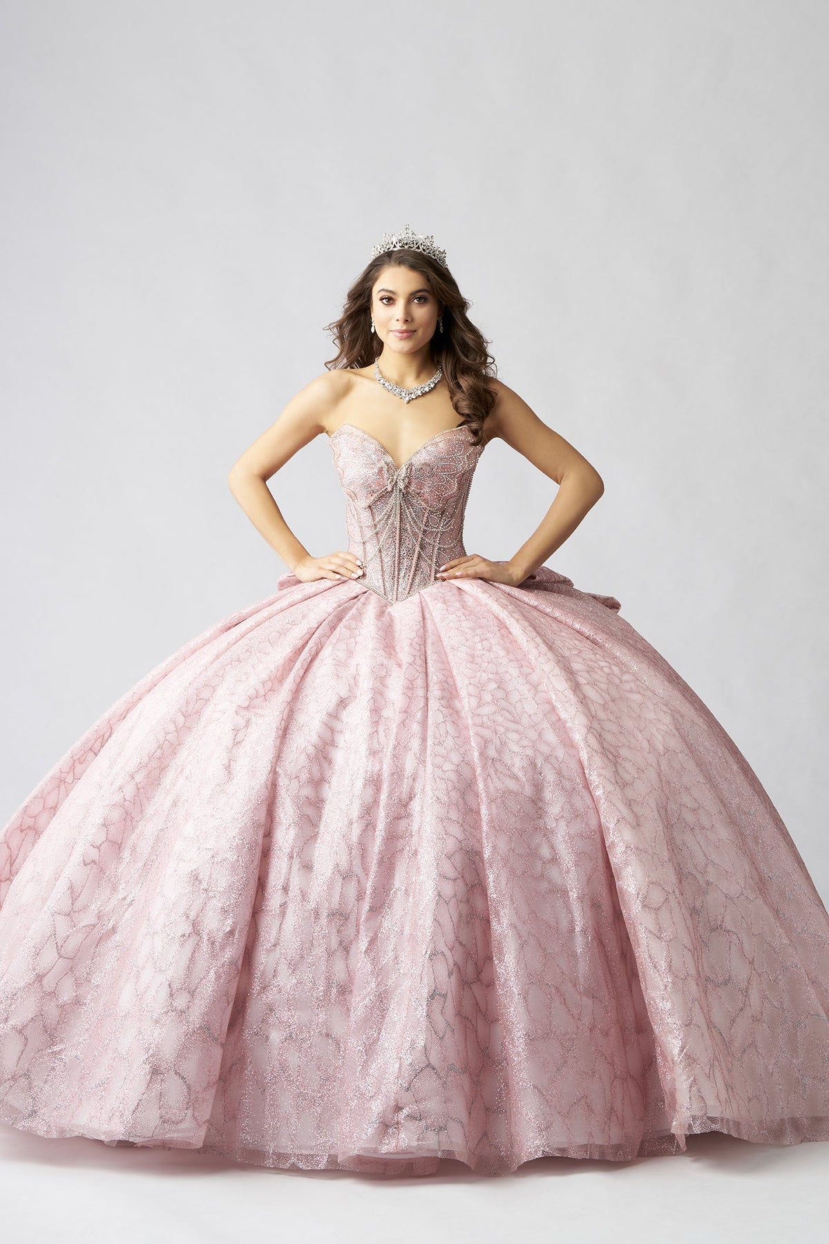 Elegant Quinceanera Dress 707 Quinceañera Dress for Special Occasions