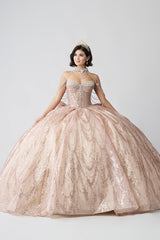 Elegant Quinceanera Dress 606 Quinceañera Dress for Special Occasions