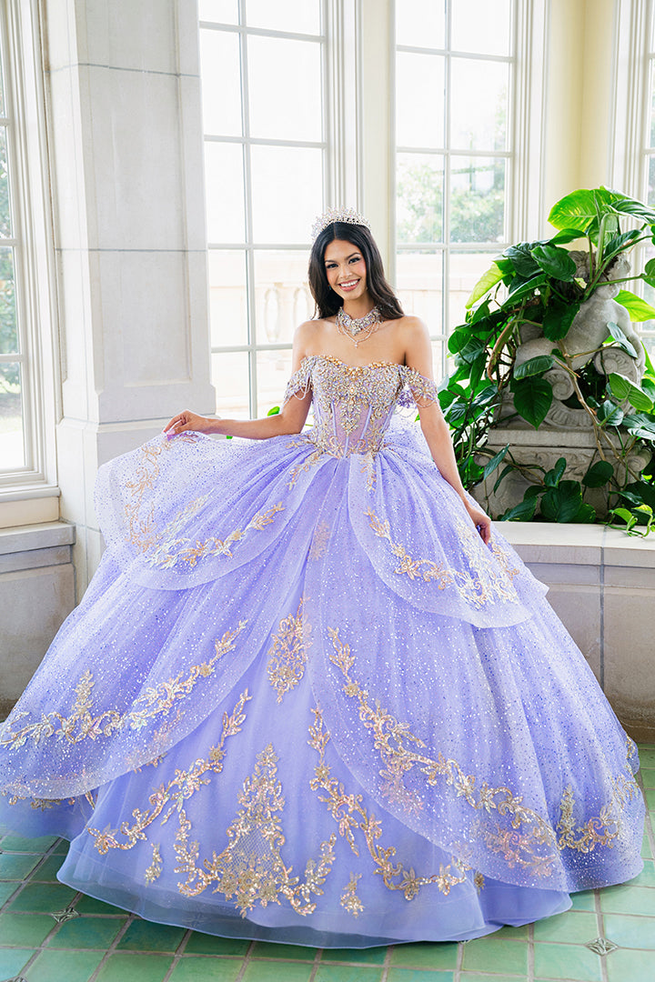 Elegant Quinceanera Dress 460 Quinceañera Dress for Special Occasions