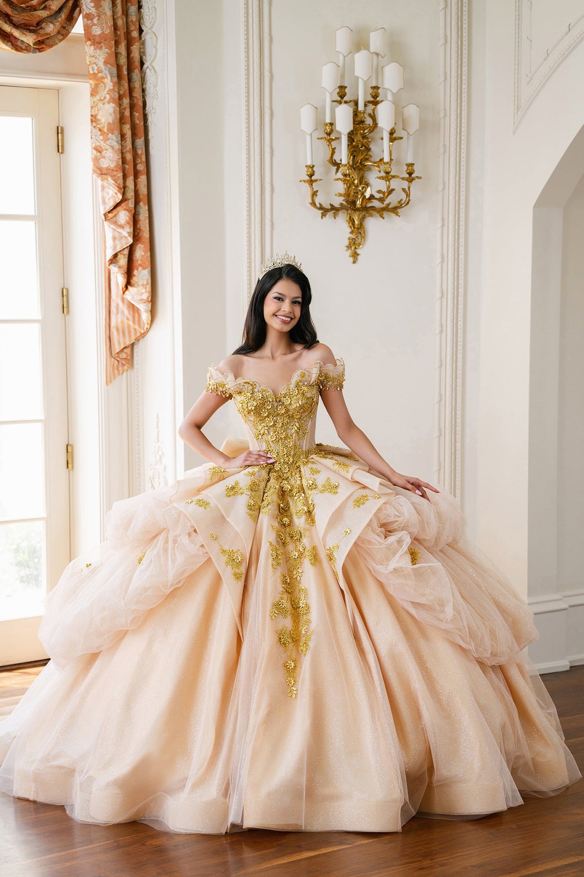 Elegant Quinceanera Dress 330 Quinceañera Dress for Special Occasions