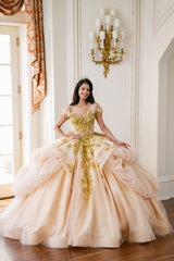 Elegant Quinceanera Dress 330 Quinceañera Dress for Special Occasions