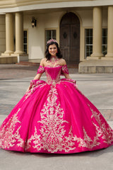Elegant Quinceanera Dress 59 Quinceañera Dress for Special Occasions