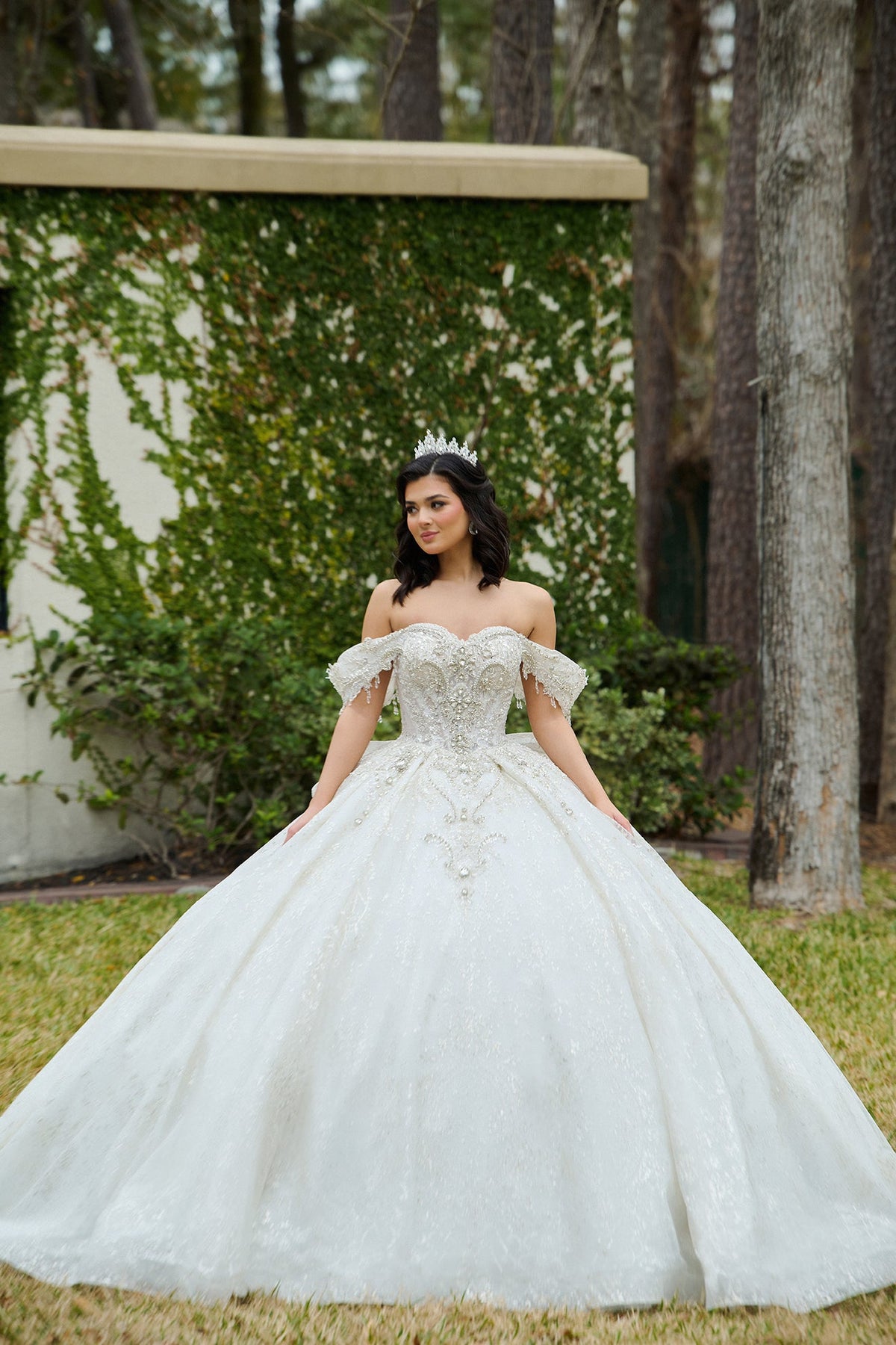 Elegant Quinceanera Dress 44 Quinceañera Dress for Special Occasions