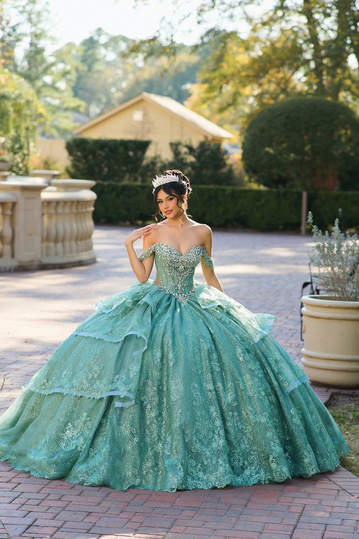 Elegant Quinceanera Dress 110 Quinceañera Dress for Special Occasions