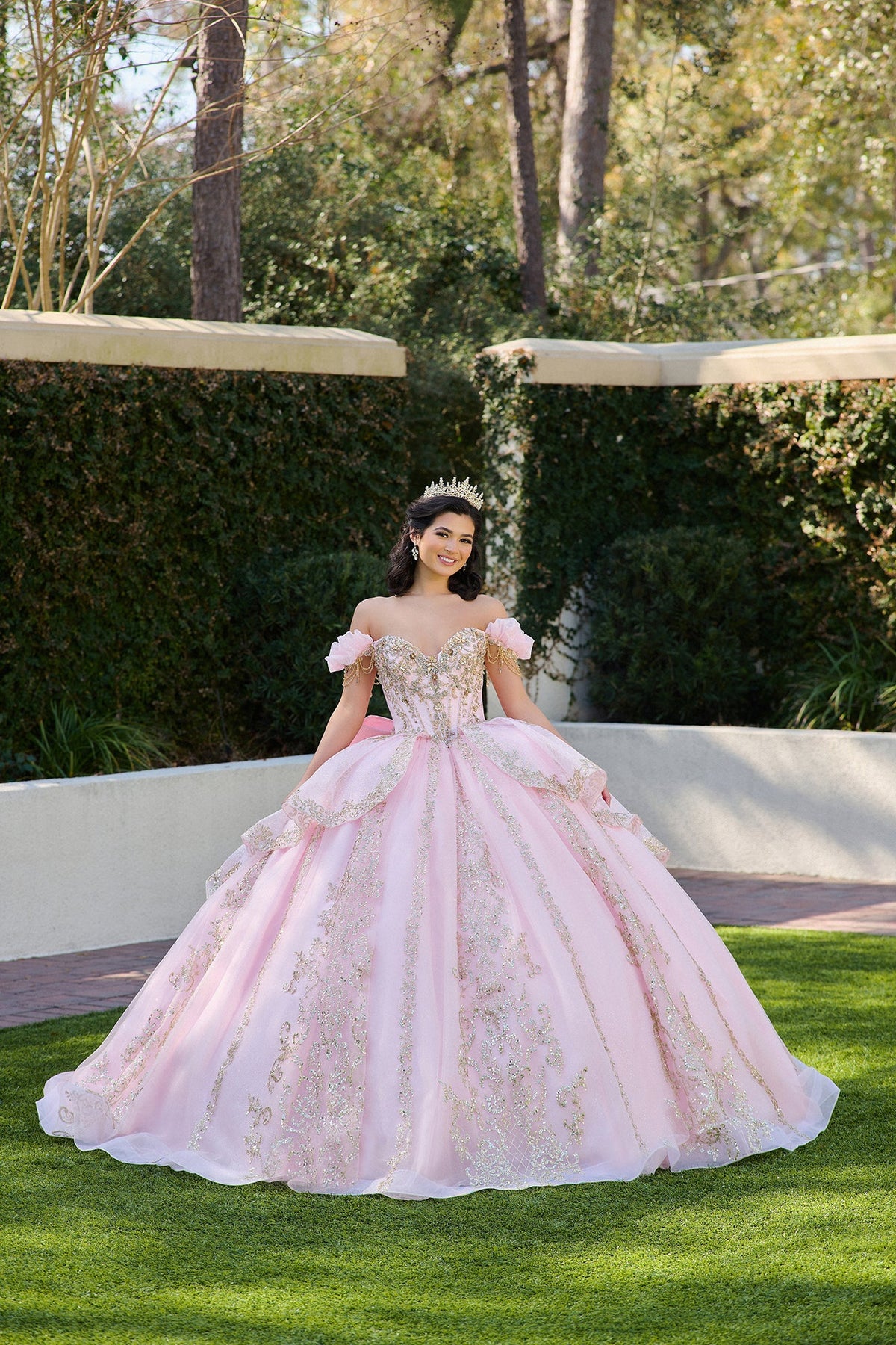 Elegant Quinceanera Dress 201 Quinceañera Dress for Special Occasions