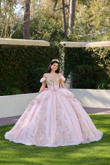 Elegant Quinceanera Dress 201 Quinceañera Dress for Special Occasions