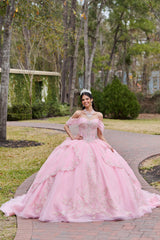 Elegant Quinceanera Dress 185 Quinceañera Dress for Special Occasions