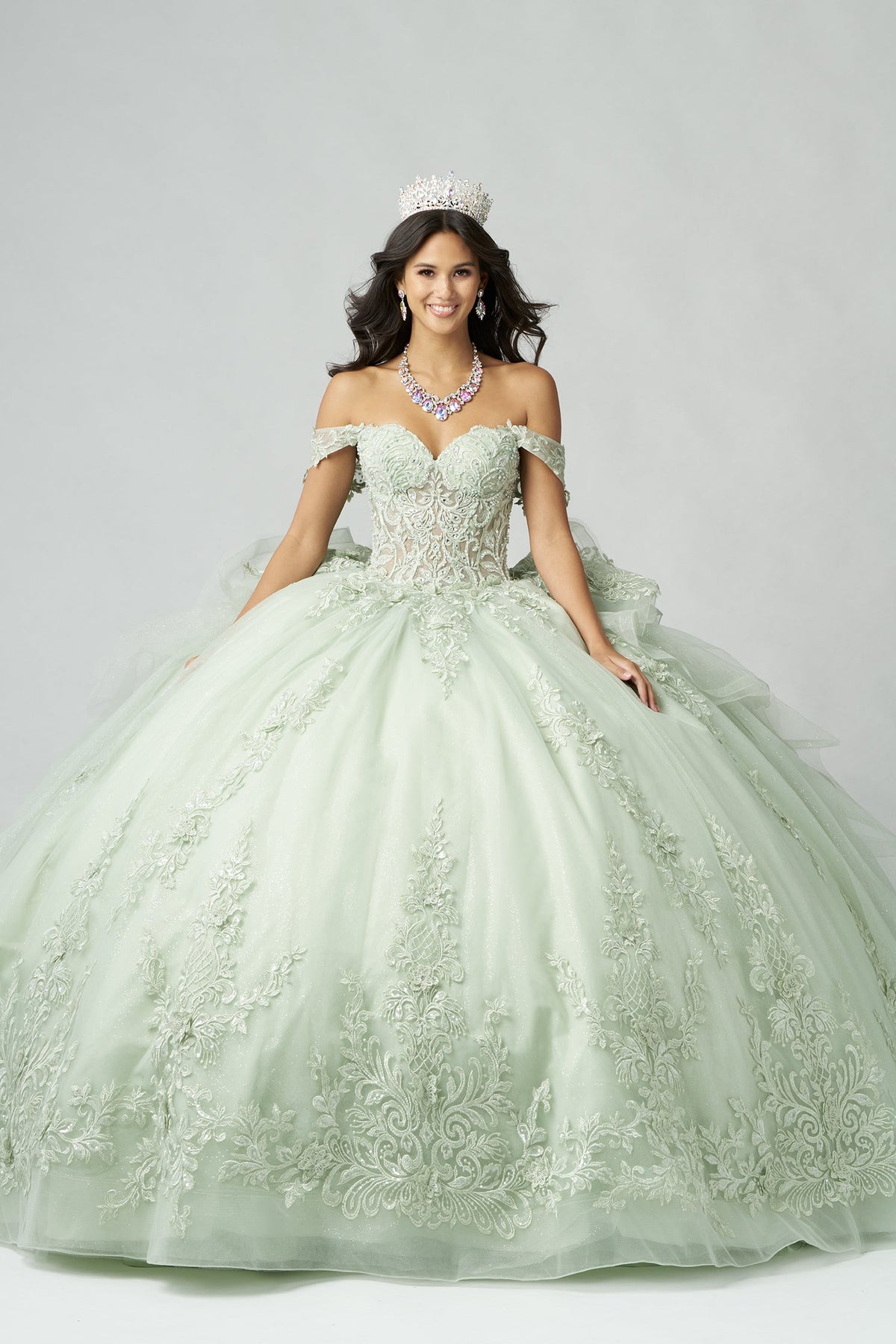 Elegant Quinceanera Dress 490 Quinceañera Dress for Special Occasions