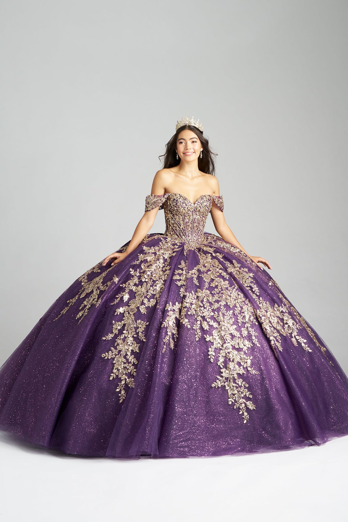 Elegant Quinceanera Dress 380 Quinceañera Dress for Special Occasions