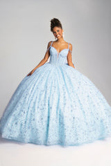 Elegant Quinceanera Dress 376 Quinceañera Dress for Special Occasions