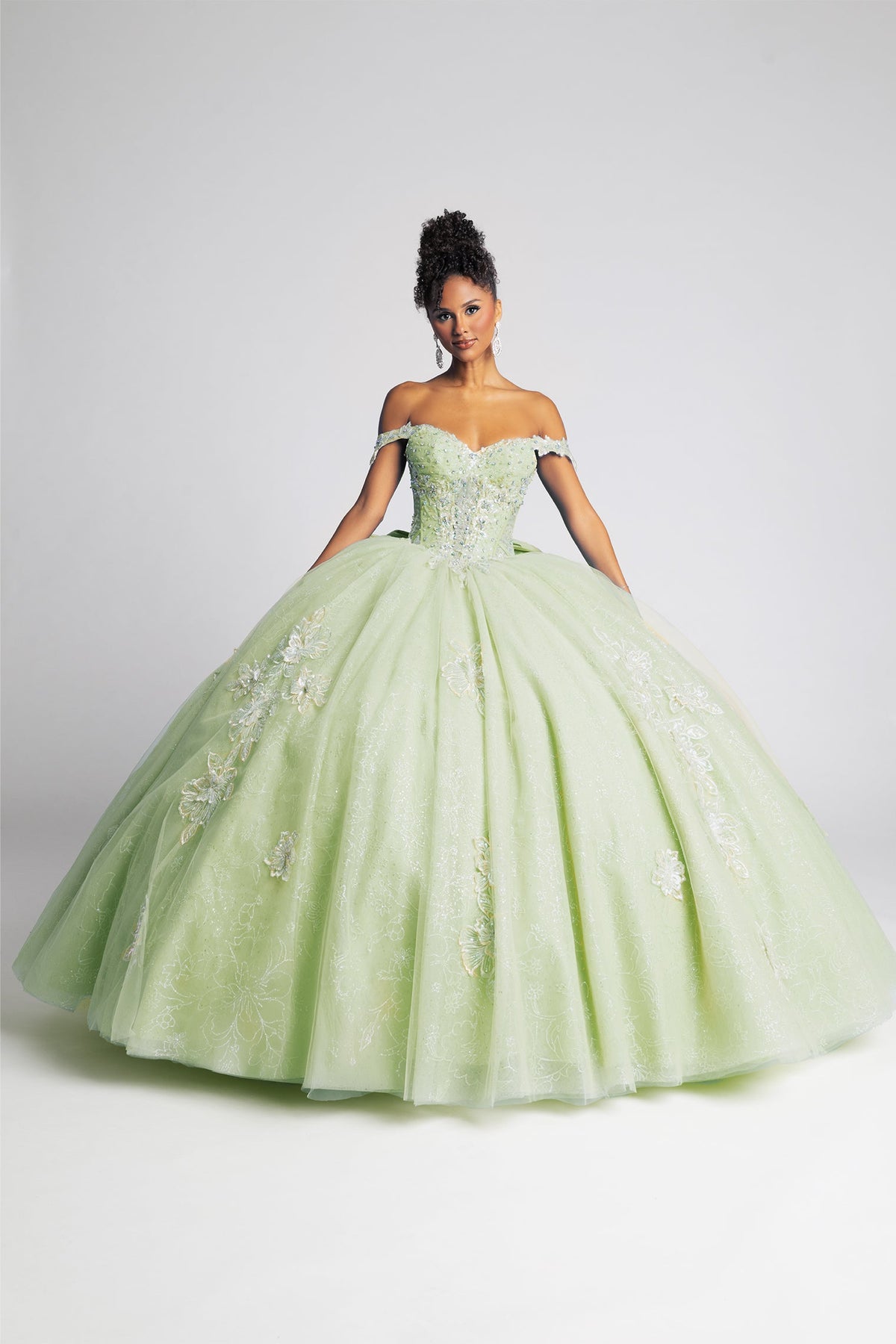 Elegant Quinceanera Dress 372 Quinceañera Dress for Special Occasions