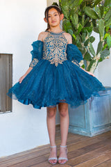 Girls Applique Short Puff Sleeve Dress by Cinderella Couture 5113 - Outlet